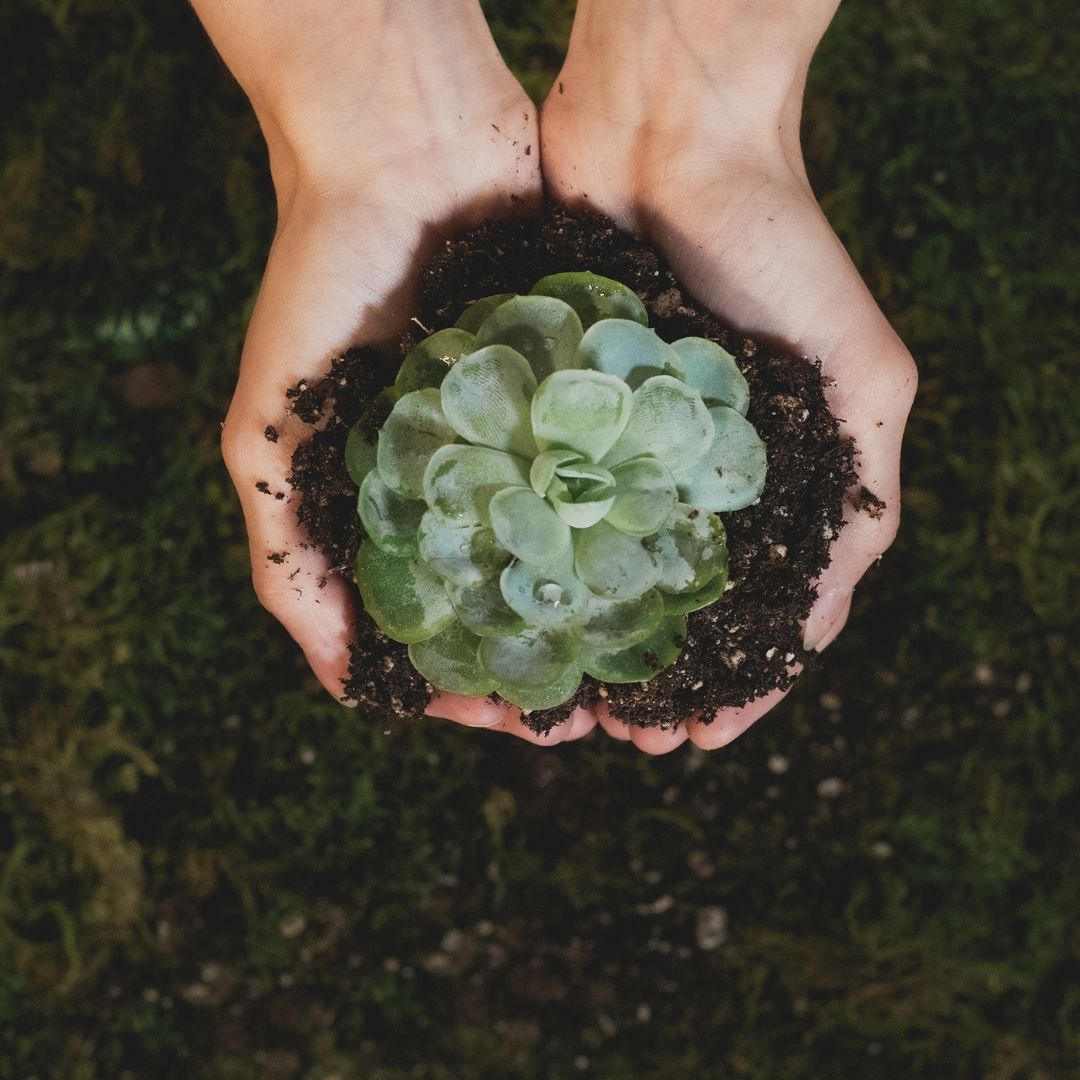 Sustainable practices.